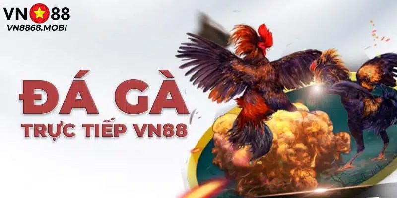 Đá gà trực tuyến tại VN88