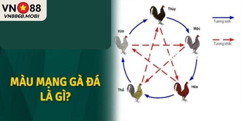 Giới thiệu màu mạng gà đá tại VN88